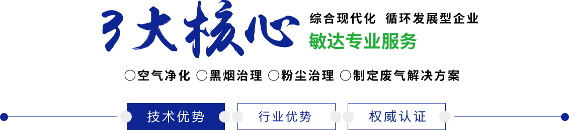 男人把鸡放进女人的下面国产免费看网站敏达环保科技（嘉兴）有限公司